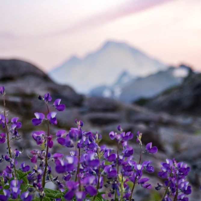 sarah-cadet-img-006 consultation psychologique a Auzielle